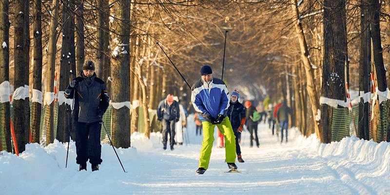 Собянин призвал москвичей отпраздновать День зимних видов спорта