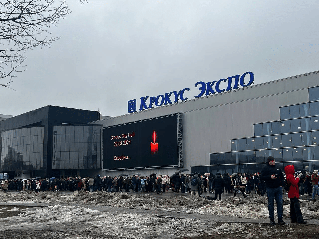 70 пострадавших в теракте в «Крокусе» продолжают лечение в больницах Москвы