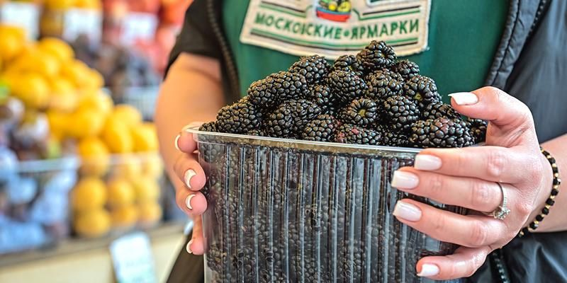 Жителям столицы рассказали, какие ягоды можно собрать в московских лесах