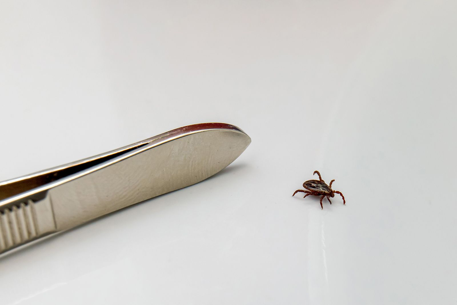 Весенние болезни 2026: с чем чаще всего россияне обращаются к врачам