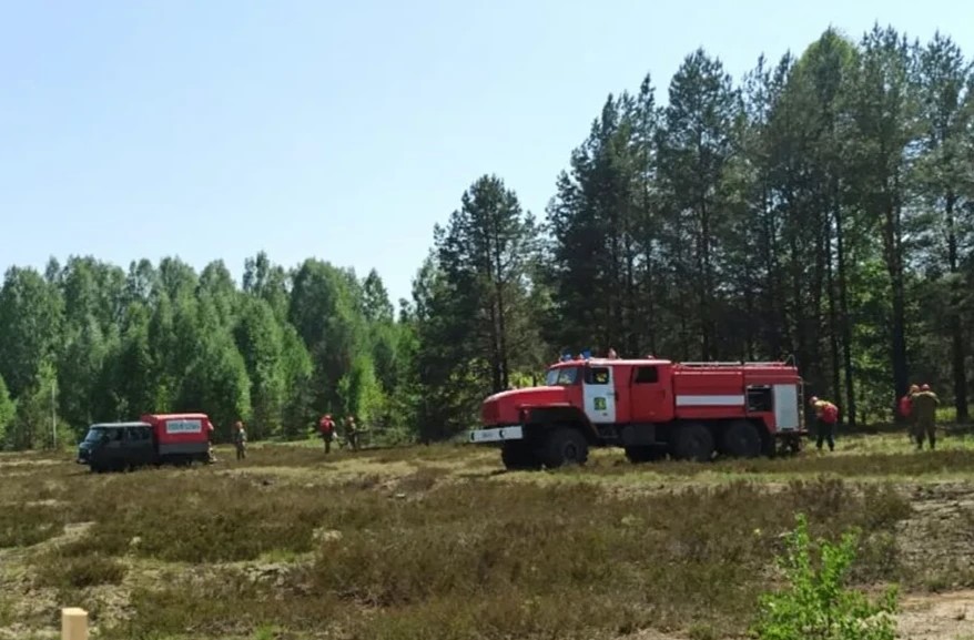 В Костромской области тушат начавшийся из-за жары лесной пожар