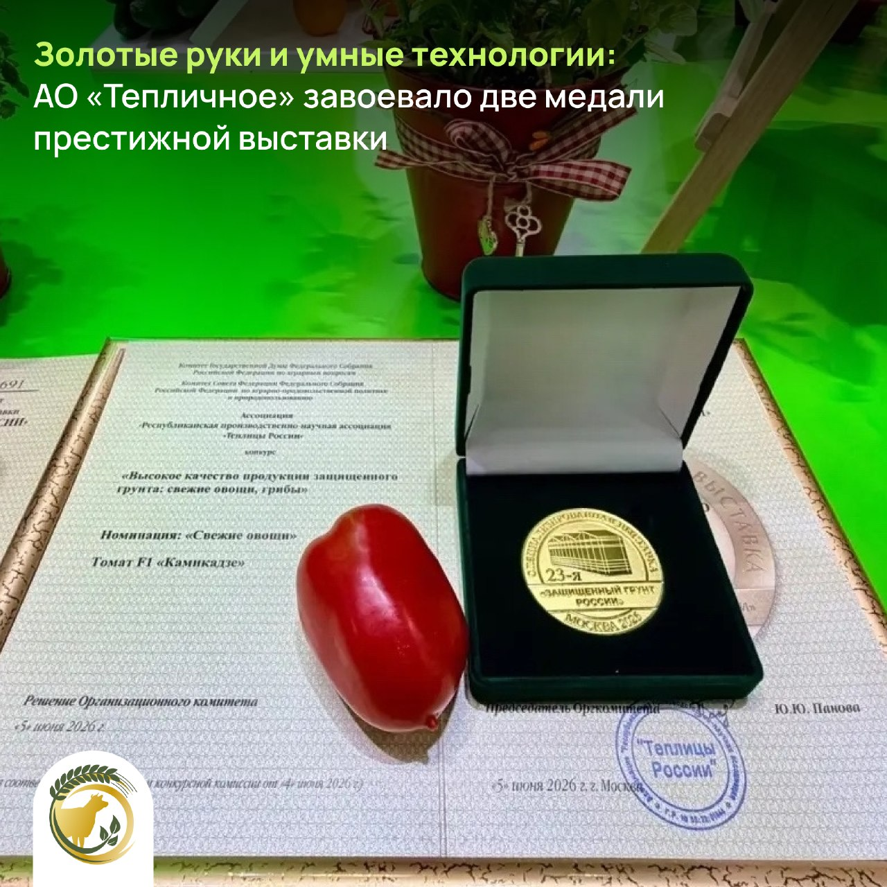 Томат «Камикадзе» из Ульяновска завоевал 2 медали на международной выставке
