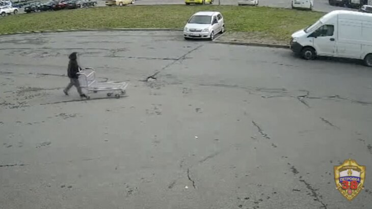 В Москве поймали похитителей магазинных тележек