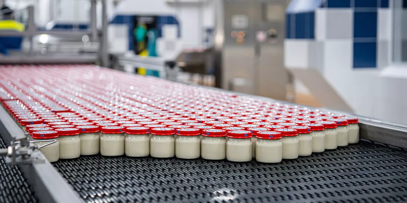 Россельхознадзор с 27 июля ограничит ввоз молочной продукции из Армении