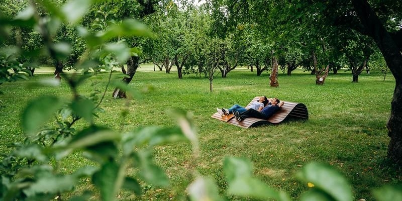 Второй пик активности клещей в Москве и области начнется в августе