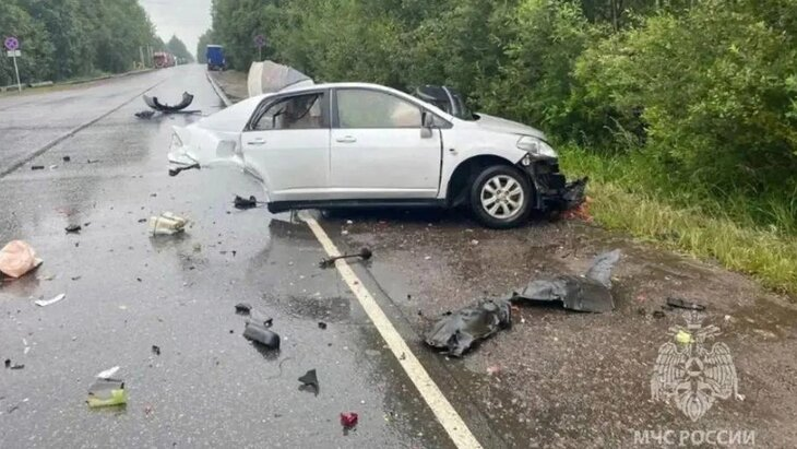 Два человека погибли в ДТП с Tesla в Ленинградской области
