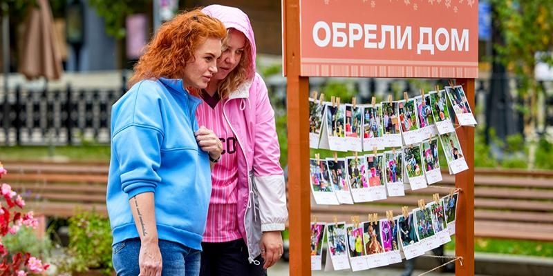 В России появится цифровой сервис для поиска питомцев из приютов