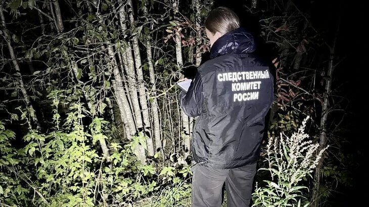 В Вологодской области медведь убил 73-летнего охотника